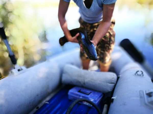 Upgrading Your ATV's ECU for Improved Throttle Sensitivity