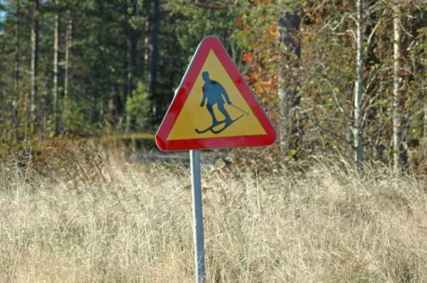 Understanding Terrain Types and Their Impact on Stopping Techniques